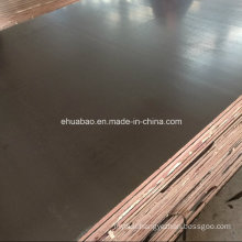 21mm Korindo Quality of Film Faced Plywood Board in China